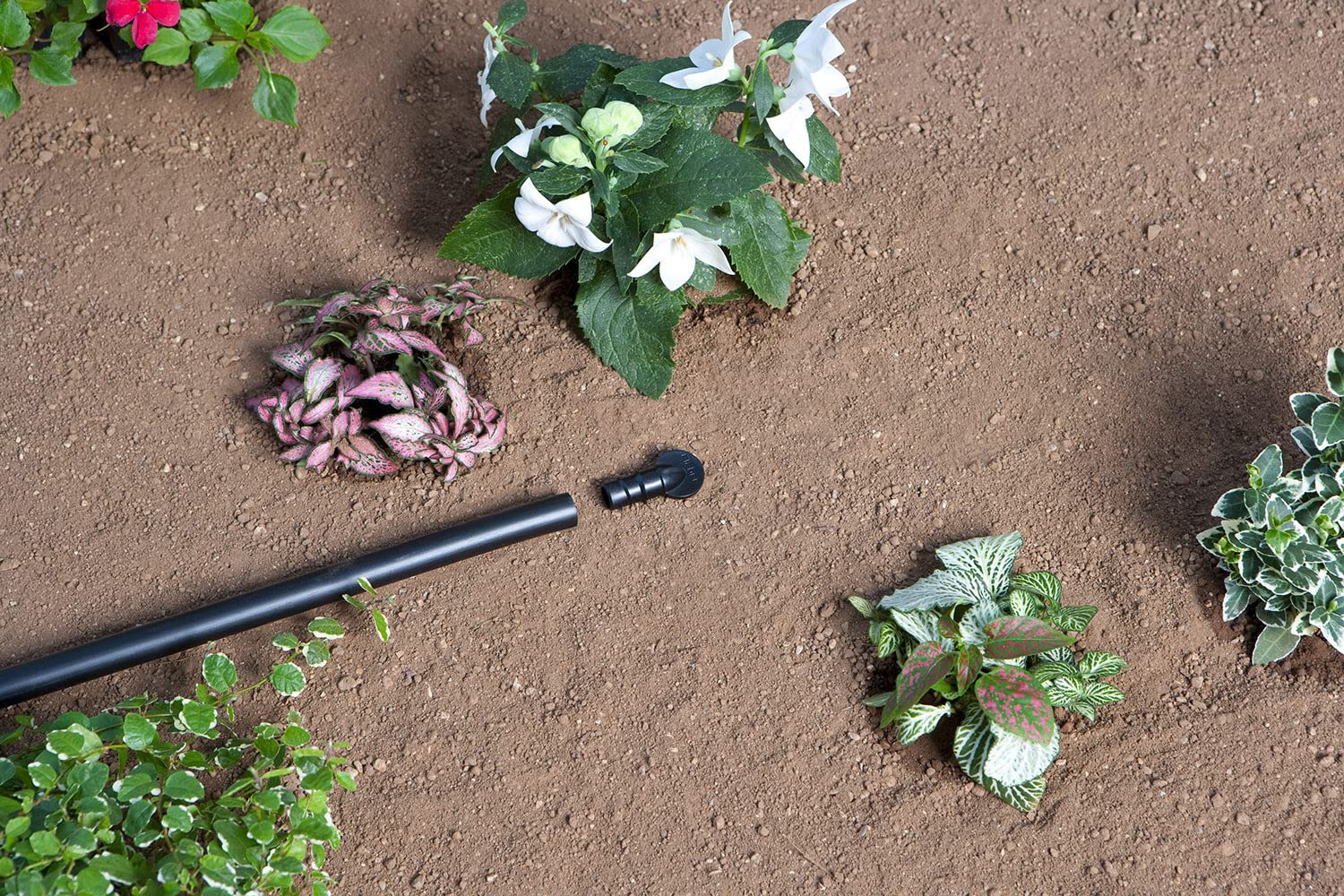 claber-kit-terraza-sistema-de-riego-por-goteo-para-hasta-50-plantas image 6