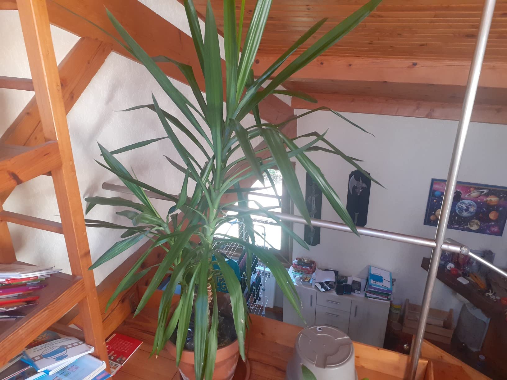 No funcionó en mis plantas de exterior